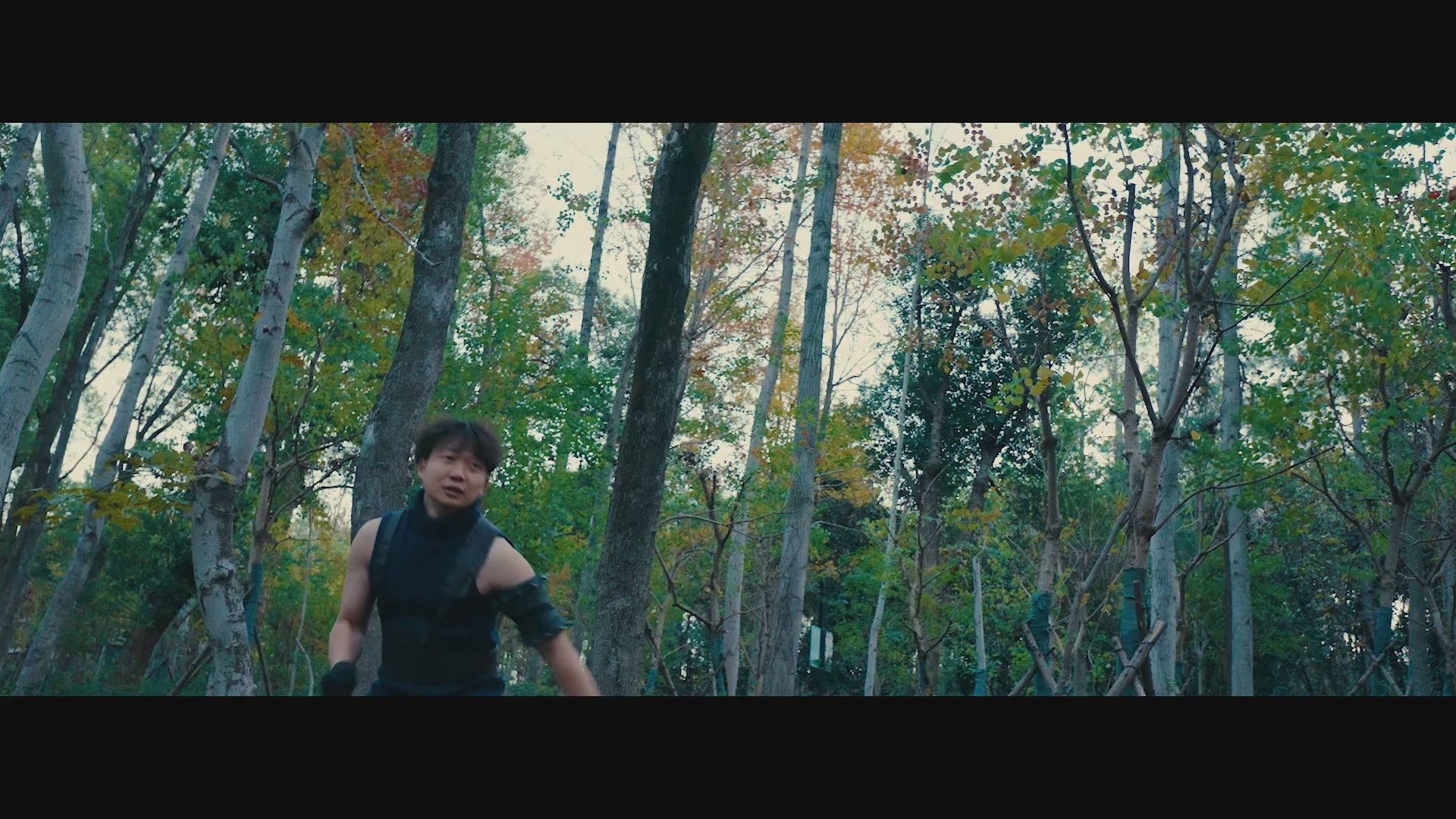 |dm:detail_video